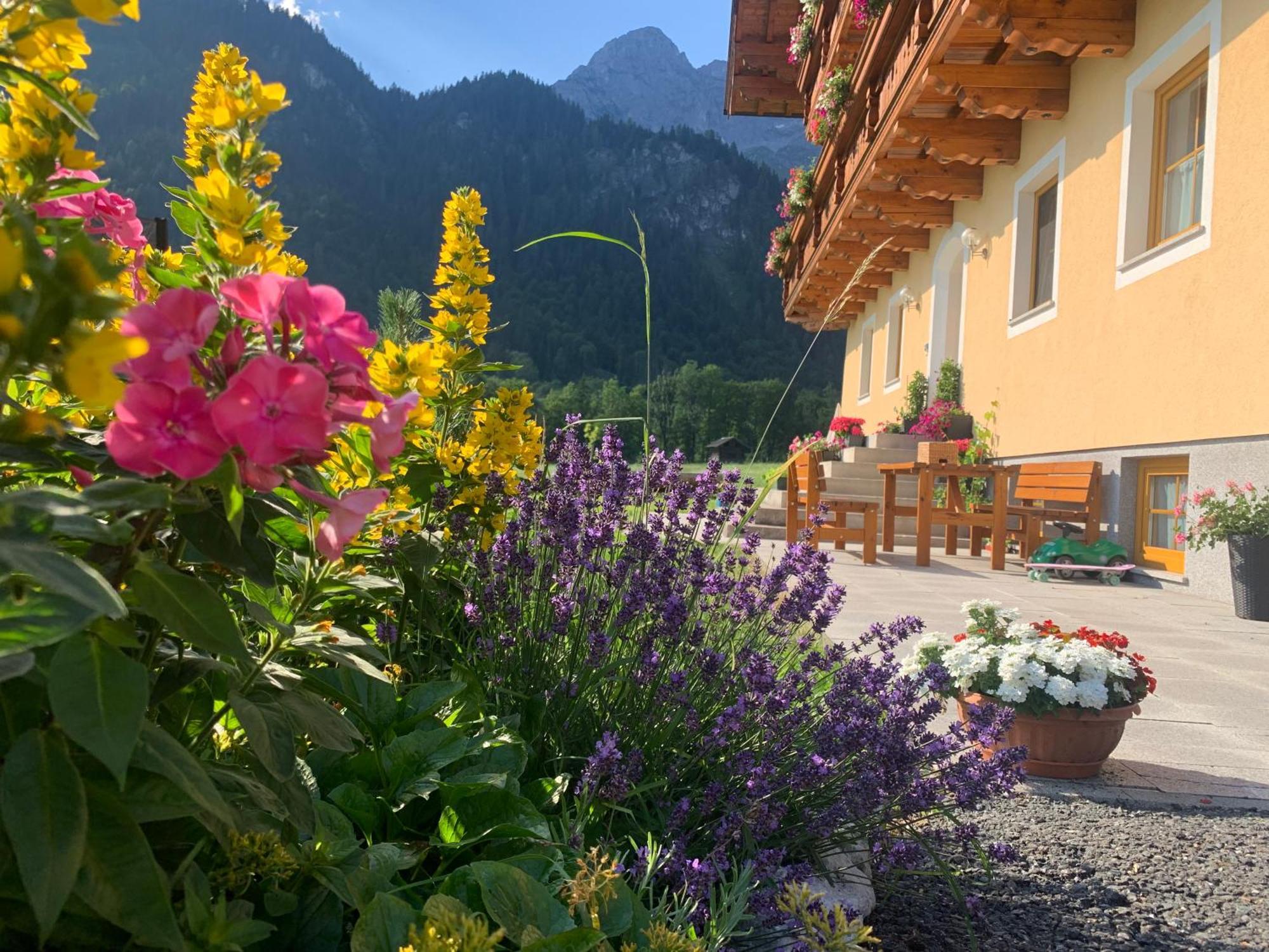 Alpen Appartements Oberlehengut Werfenweng Exterior photo